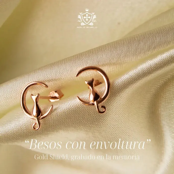 Earrings Gold Shield Juego de aretes y collar de plata con dije de gato y Bao en Oro 18K