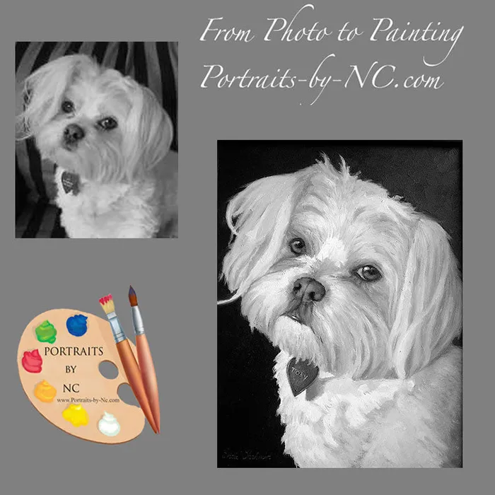 Portraits by NC Earrings Maltese Pet Portrait