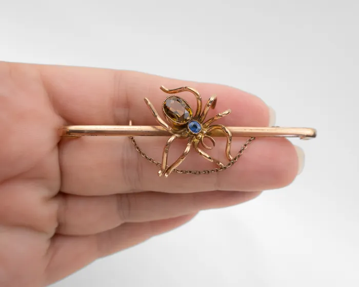 Isadoras A Victorian Spider Brooch Earrings