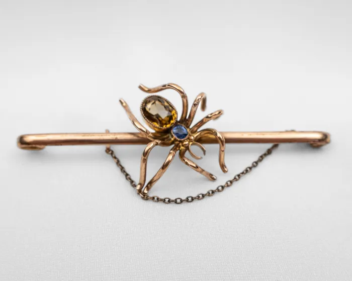 Isadoras A Victorian Spider Brooch Earrings Isadoras A Victorian Spider Brooch Earrings