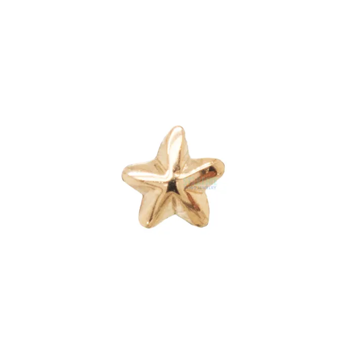 threadless Beveled Star Pin in Gold LeRoi Earrings
