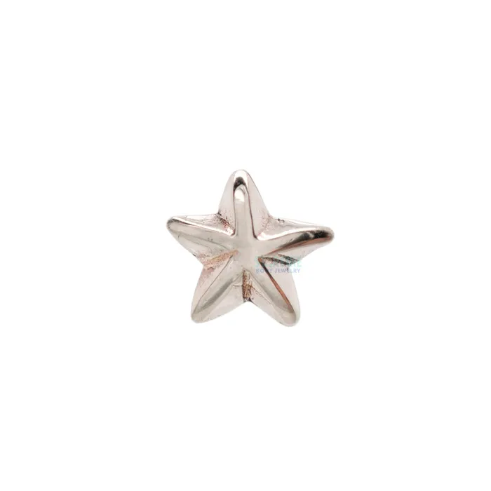 threadless Beveled Star Pin in Gold LeRoi Earrings