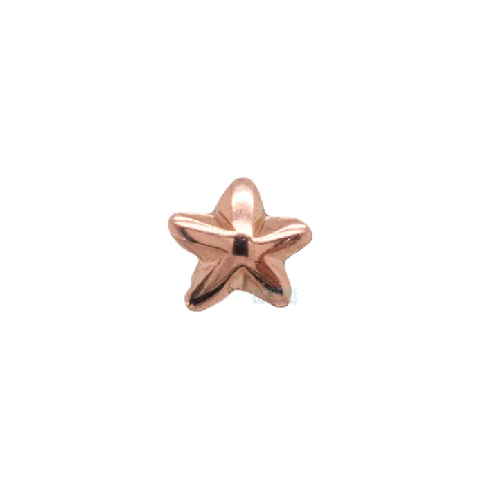 threadless Beveled Star Pin in Gold LeRoi Earrings