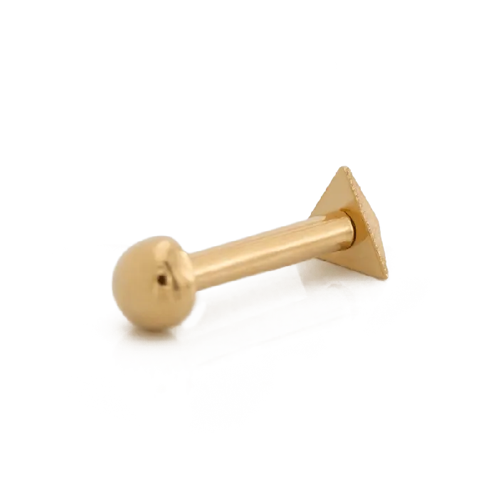 Pupil Hall Earrings Contour