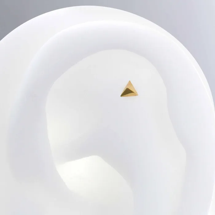 Pupil Hall Earrings Contour