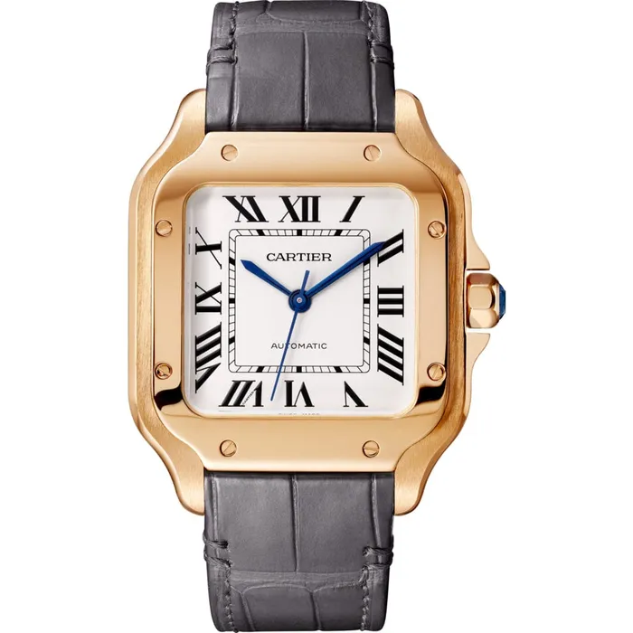 Cartier Watches Santos de Cartier watch WGSA0028