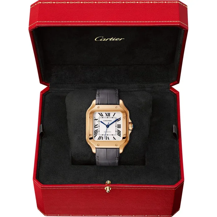 Cartier Watches Santos de Cartier watch WGSA0028
