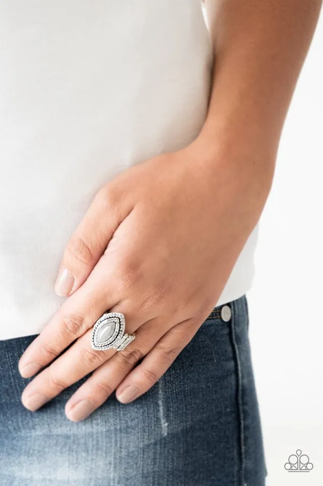 Paparazzi Jewelry Rings Paparazzi Ring Modern Millionaire Silver