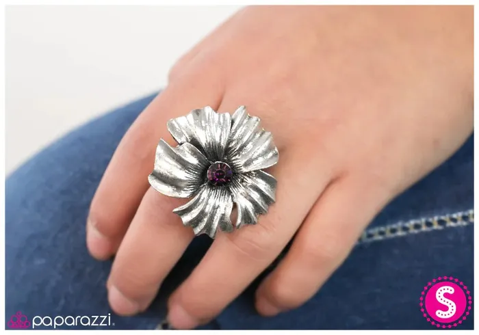 Paparazzi Jewelry Rings Paparazzi Ring Take Your Pick Purple