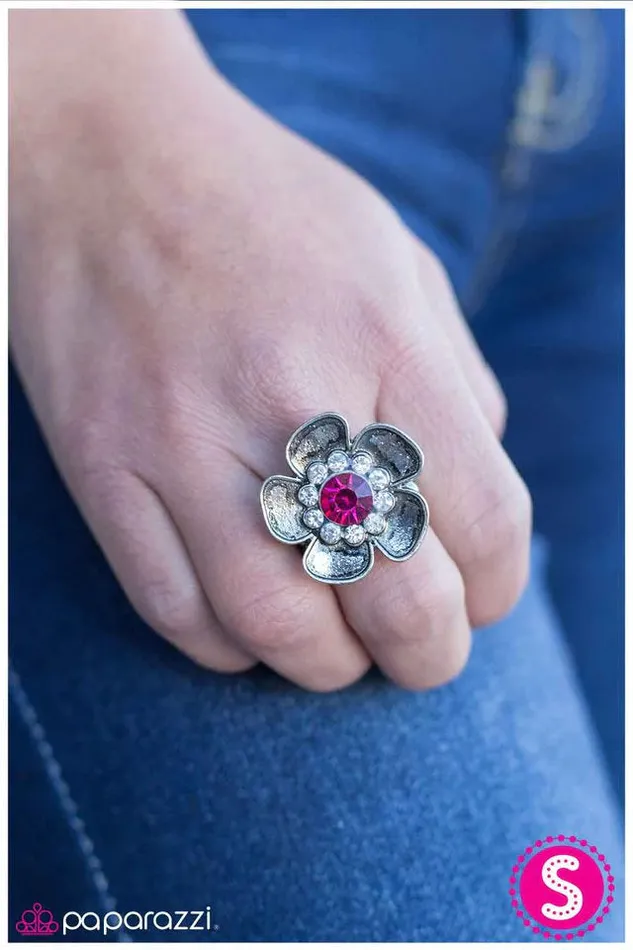 Rings Paparazzi Jewelry Paparazzi Ring At the Risk of Looking Fabulous Pink