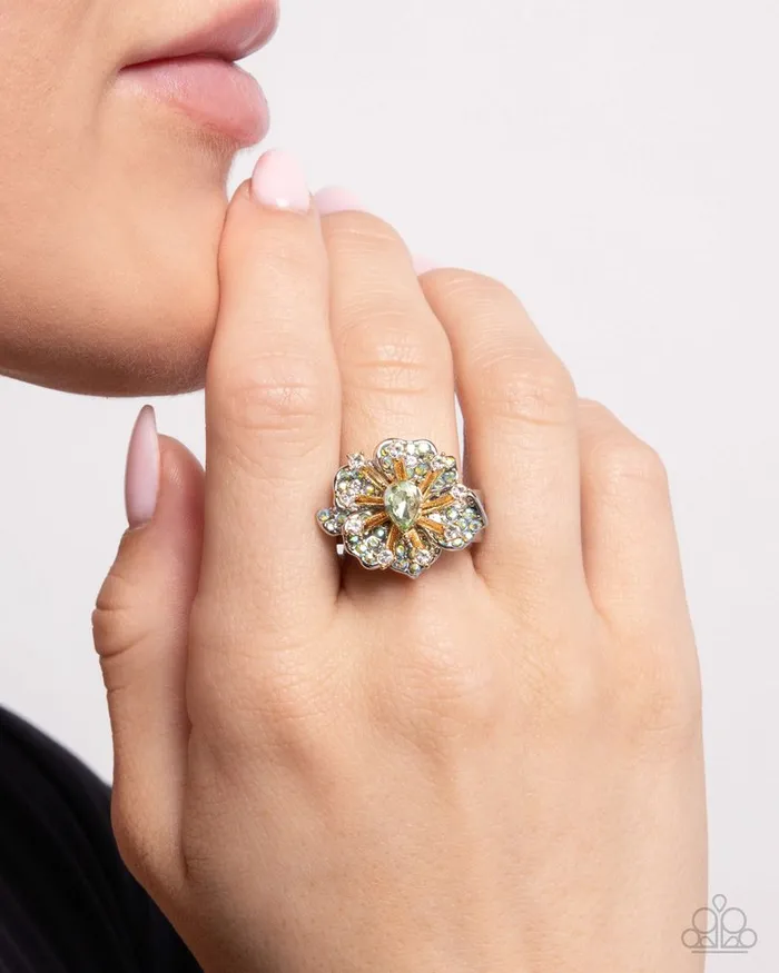 Rings Paparazzi Jewelry Paparazzi Ring Decadent Display Green