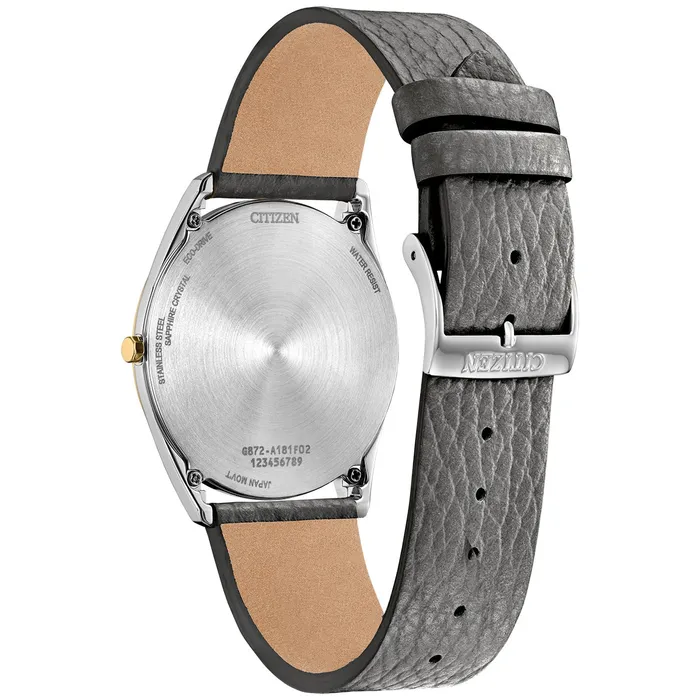 Watches Citizen Suratto EcoDrive Watch Citizen